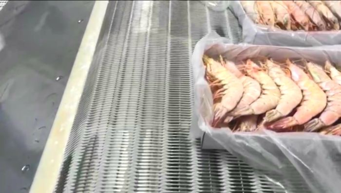 食品網帶